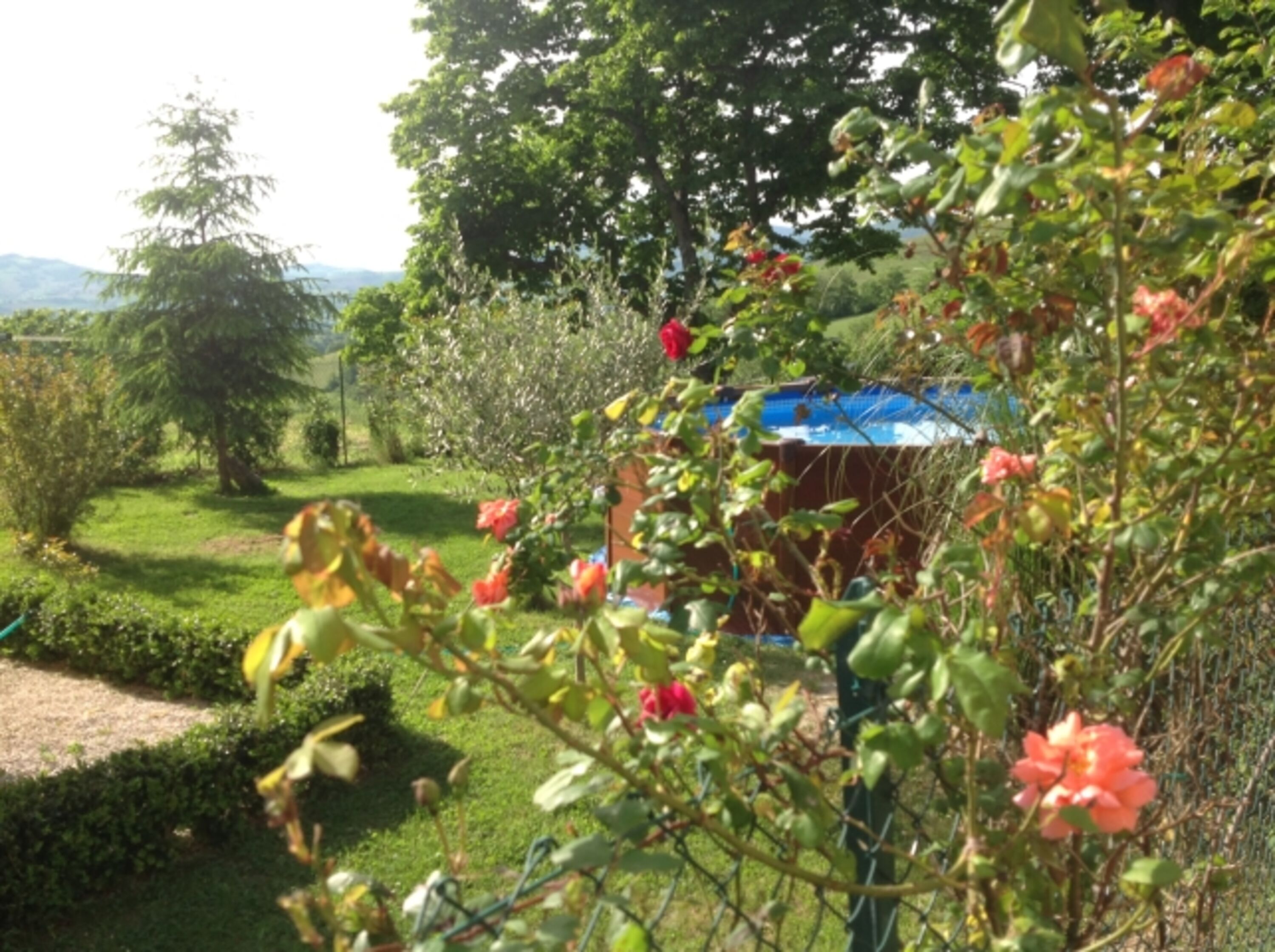 Bild 18
