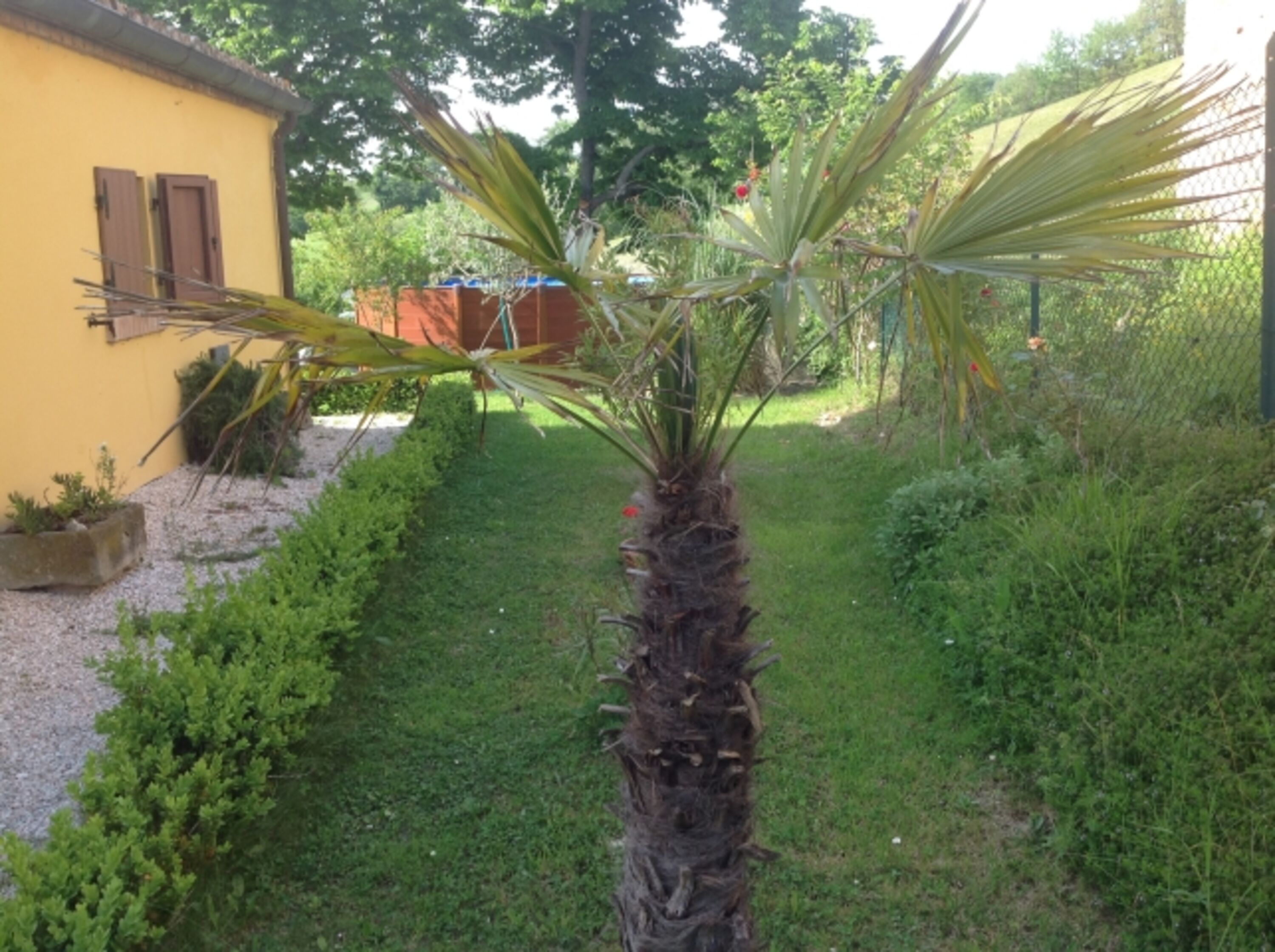 Bild 17