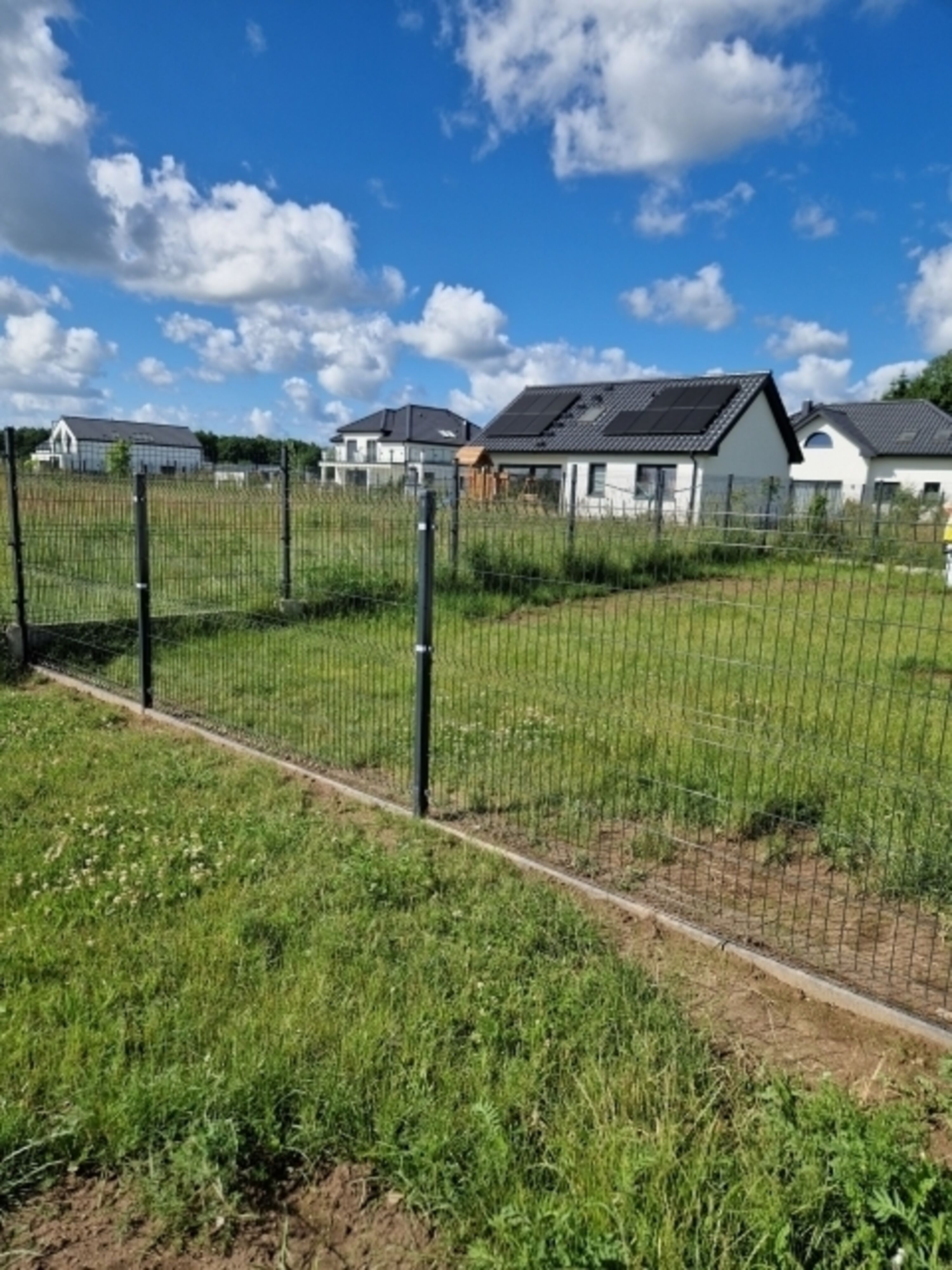 Bild 16