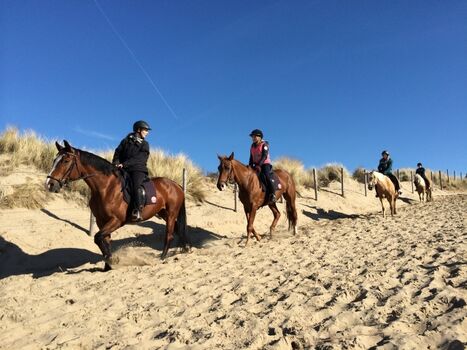 Reiten am Strand von Noordwijk