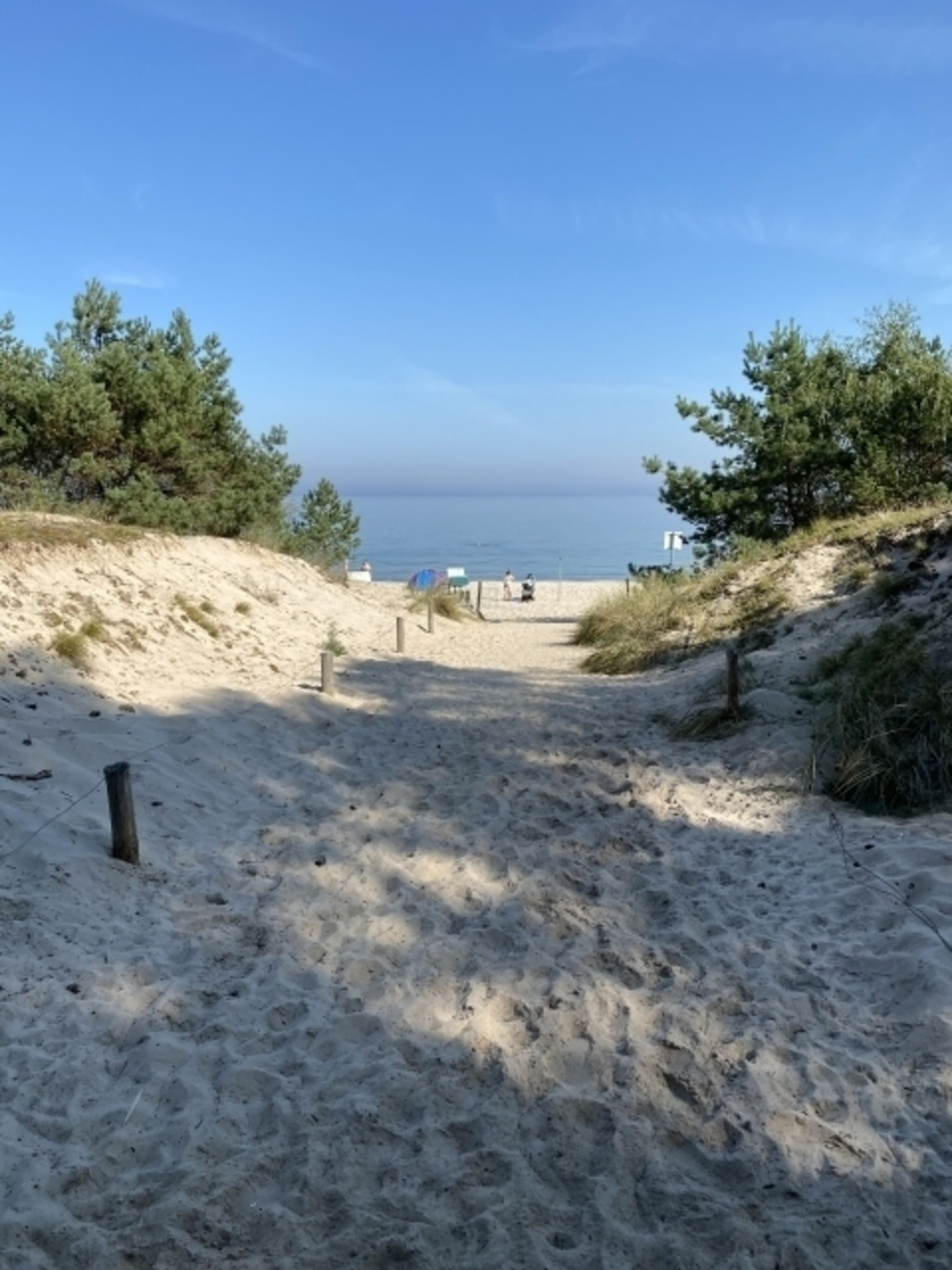 Bild 25