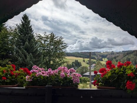 Blick vom Balkon 