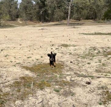 Unsere Region ist sehr sandreich - Tobespass garantiert!