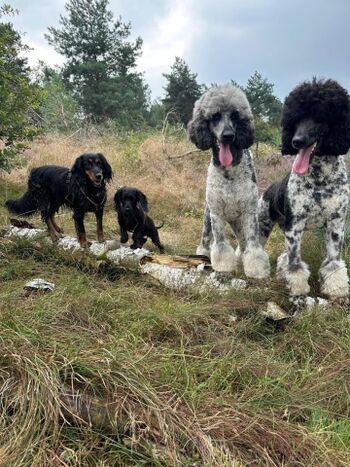 Spass fuer Gross und Klein!