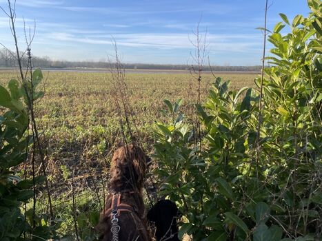 Ausblick vom Gelände über die angrenzenden Felder - kein Nachbarhaus in der Nähe