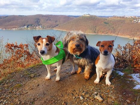 Feriengäste im Herbst am Edersee ?