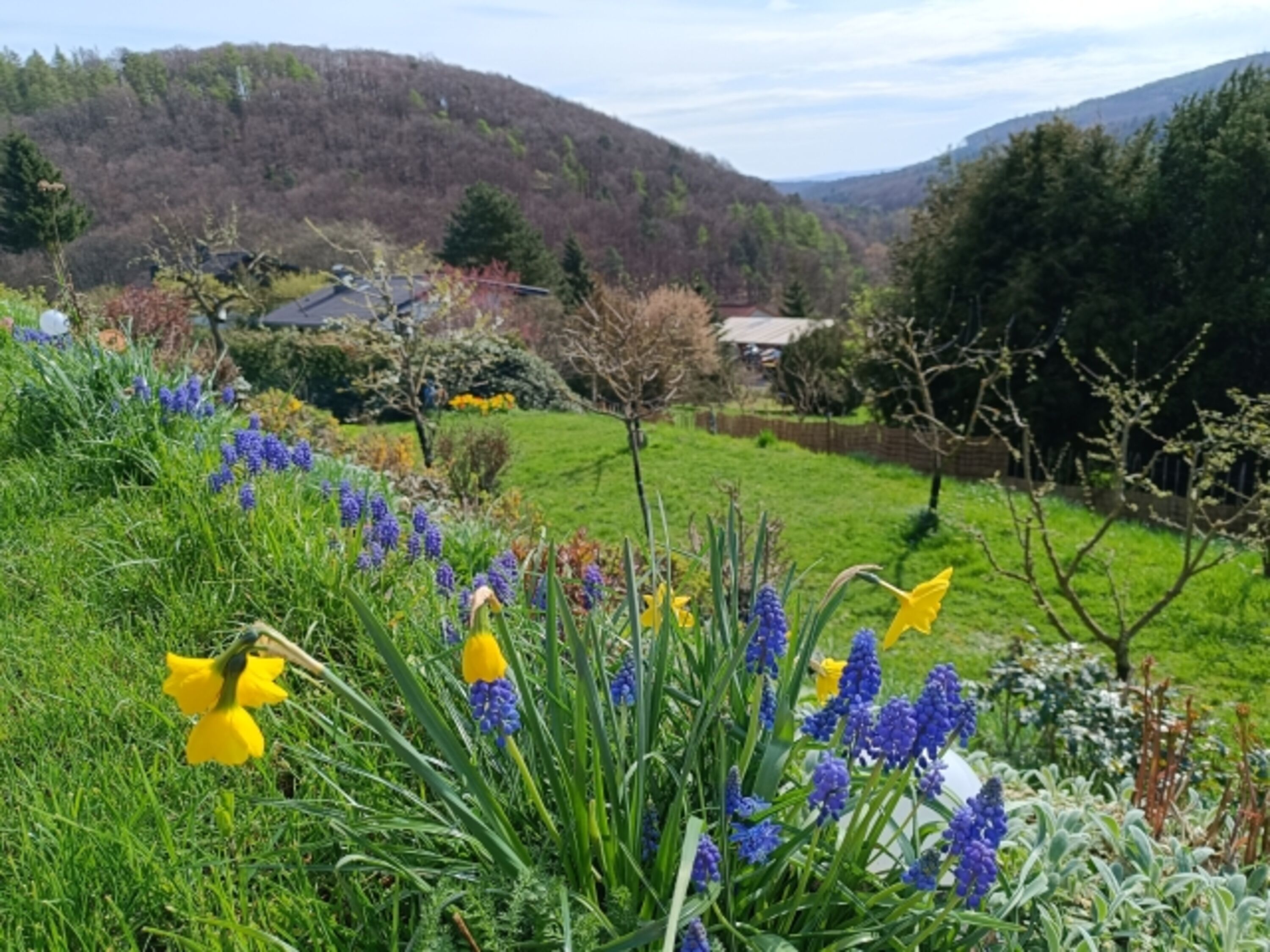 Gartenblick