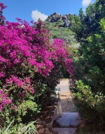 Unser Garten/Eingangsbereich