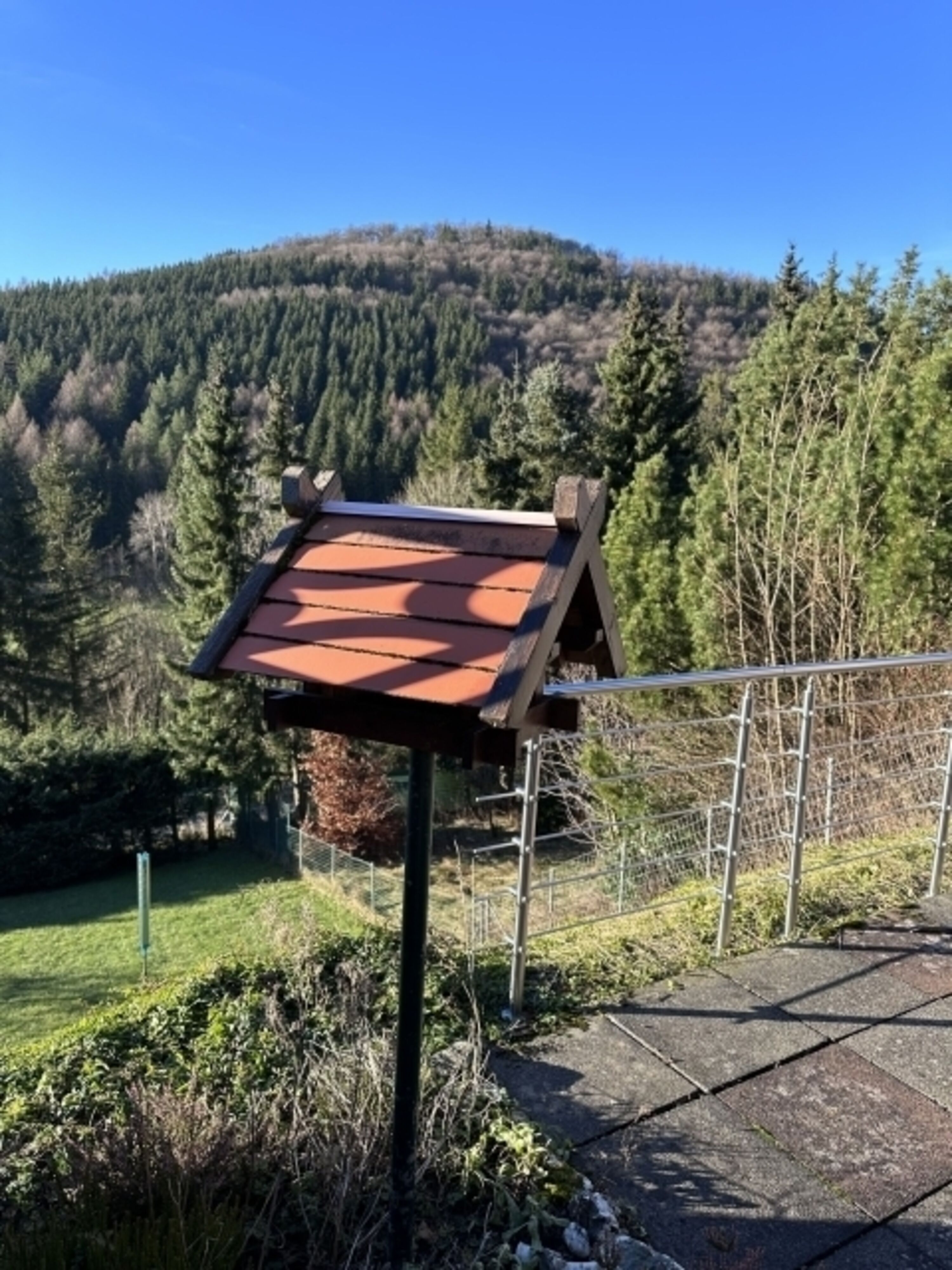 Bild 16