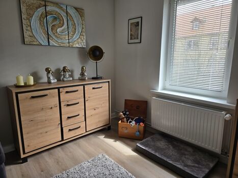 Wohnzimmeransicht mit Fressnapf und Hundedecke 