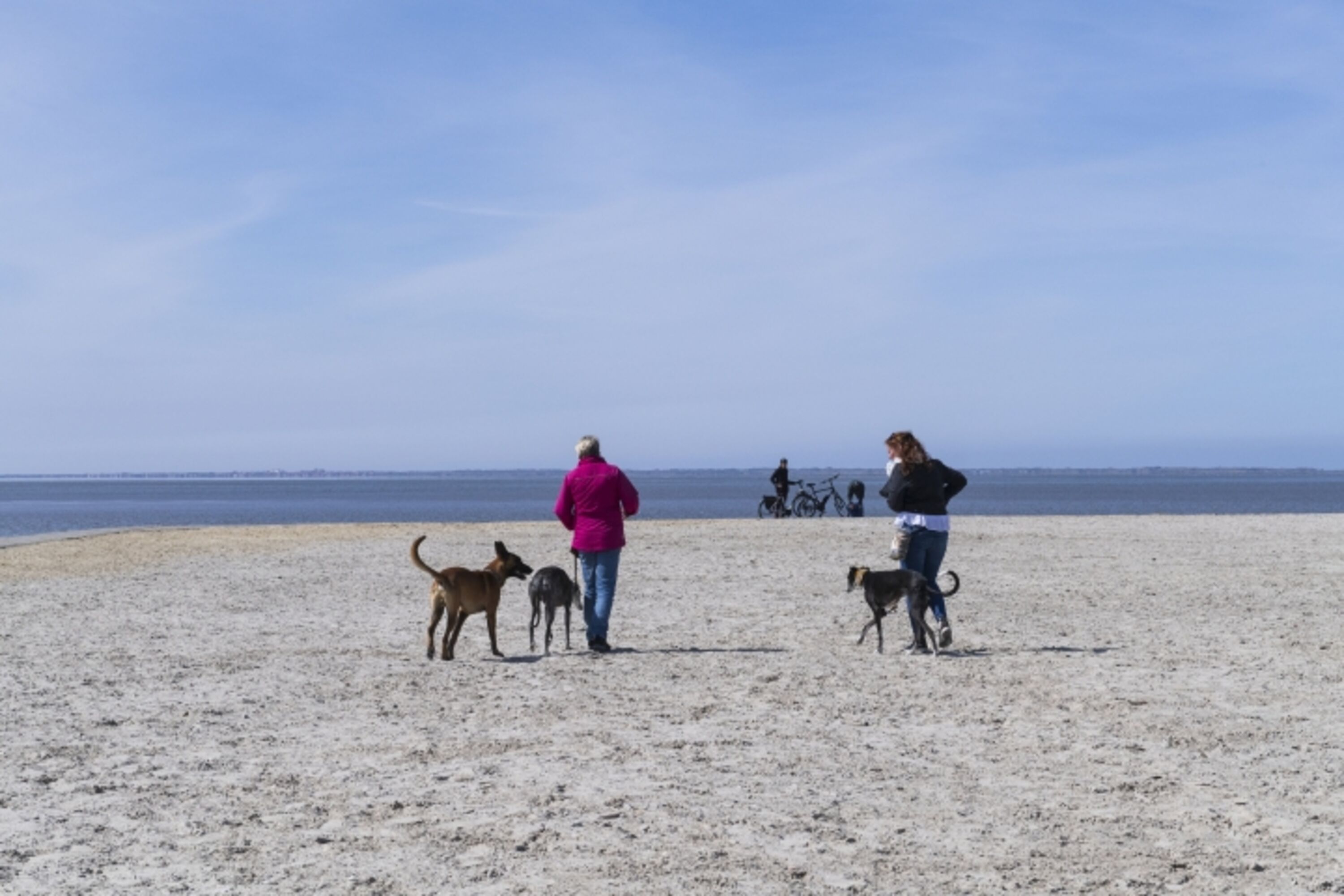 Bild 18