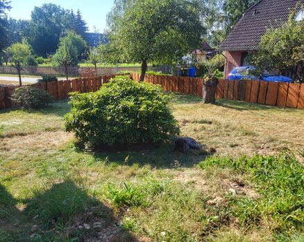 Der Hundeauslauf am Haus ist mit einem stabilen Holzzaun mit einer Höhe von 100 cm eingefasst 