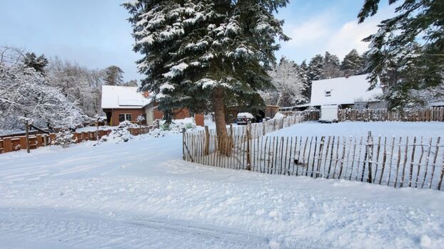 Auch im Winter schön