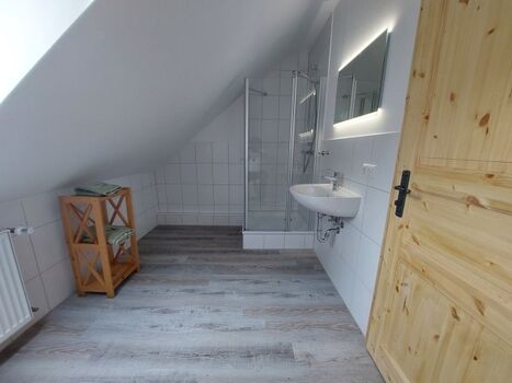 Alle Bäder sind neu erstellt und haben WC, Waschbecken und Dusche mit Duschabtrennung aus Glas  