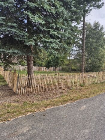 2. Hundeauslauf und Wohnmobilstellplatz