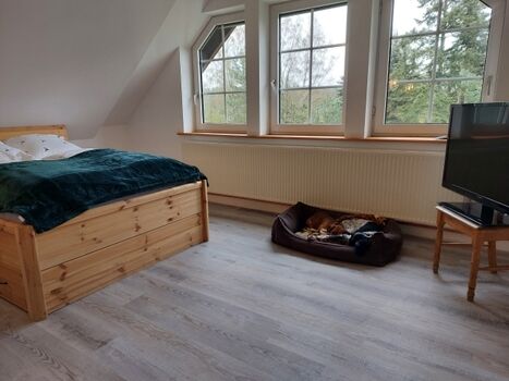 Alle Zimmer sind helle Dachgeschosszimmer mit großen 2 Personen Betten