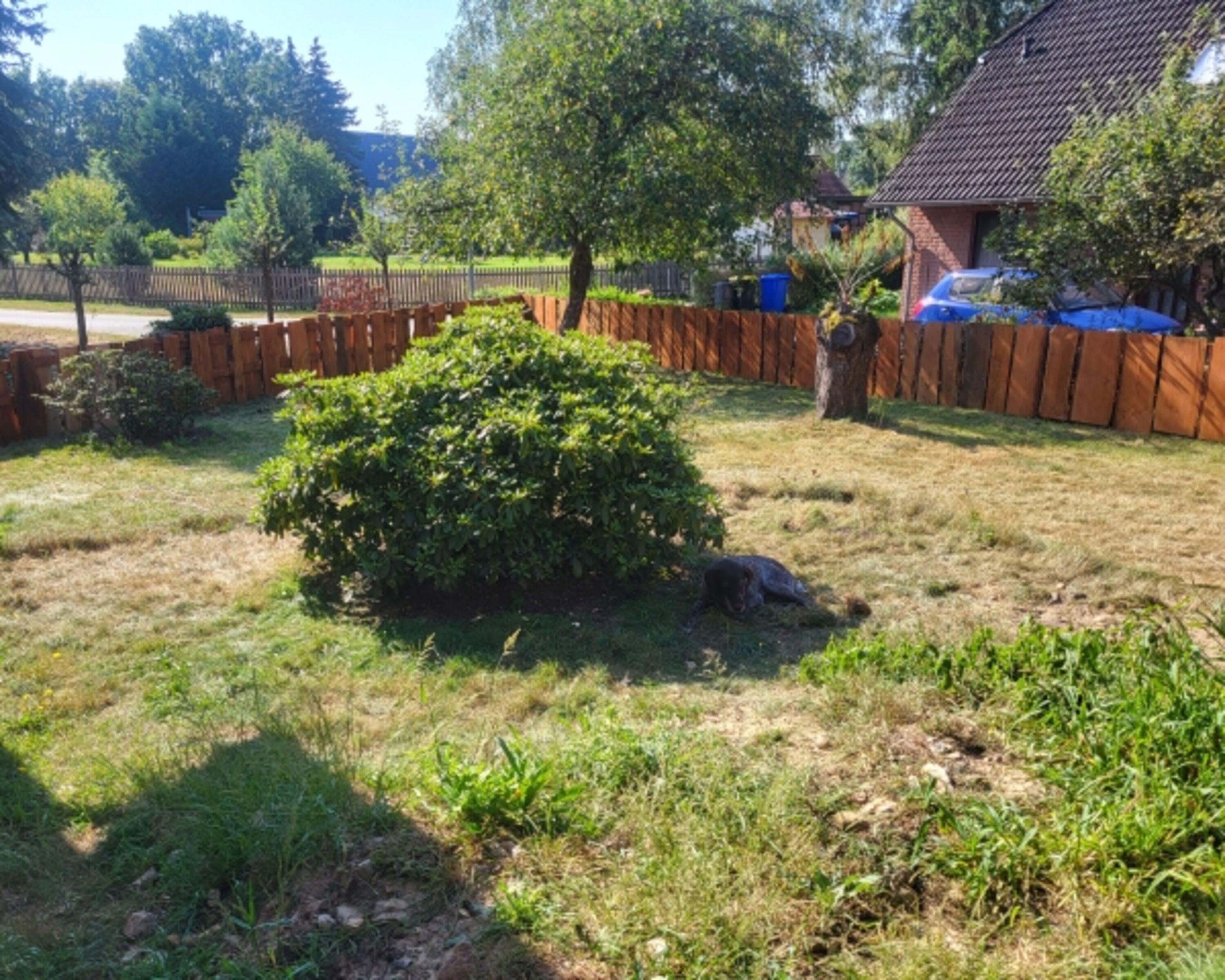Der Hundeauslauf am Haus ist mit einem stabilen Holzzaun mit einer Höhe von 100 cm eingefasst 