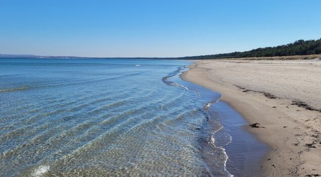 Der Strand an der nahen Schaabe