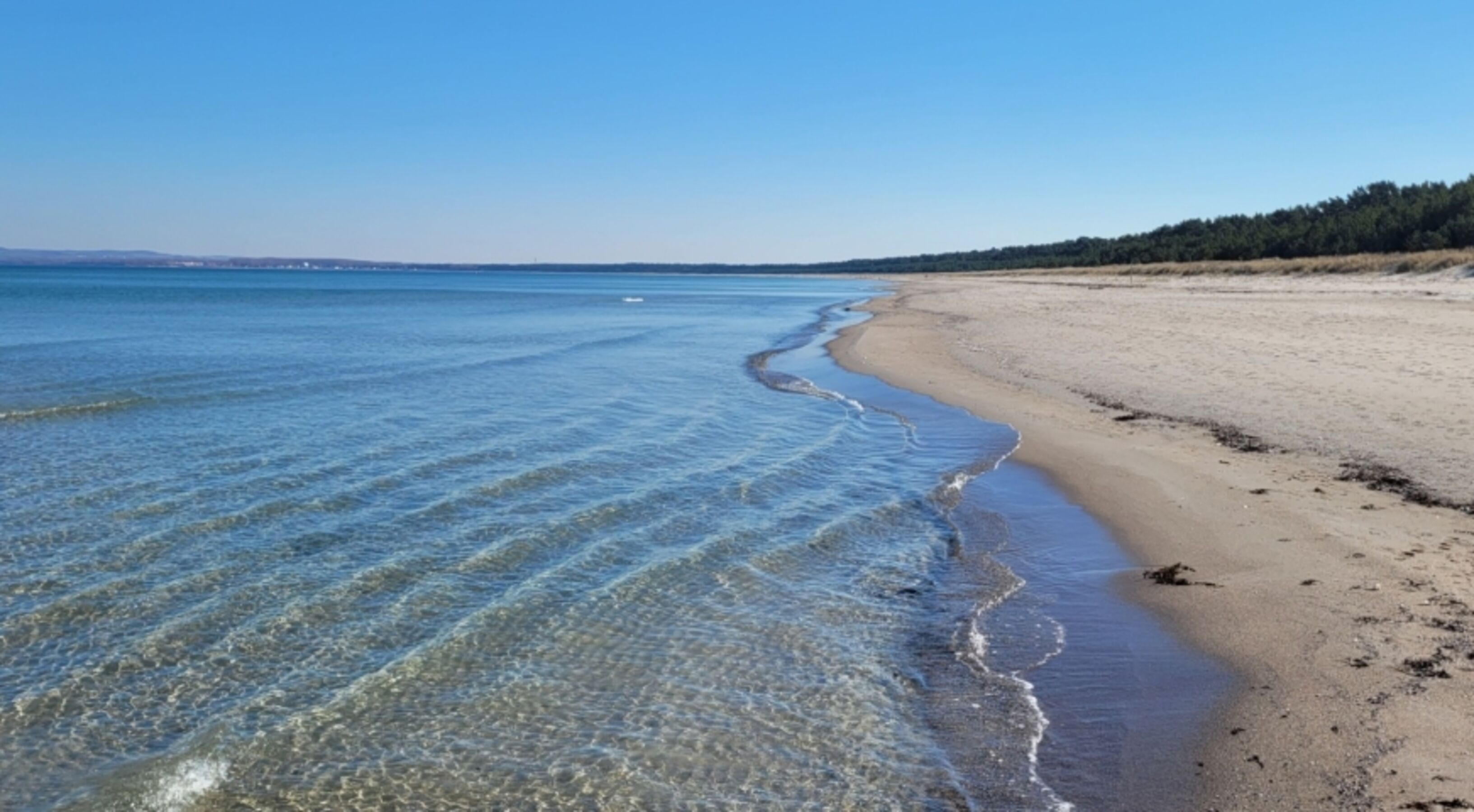 Der Strand an der nahen Schaabe