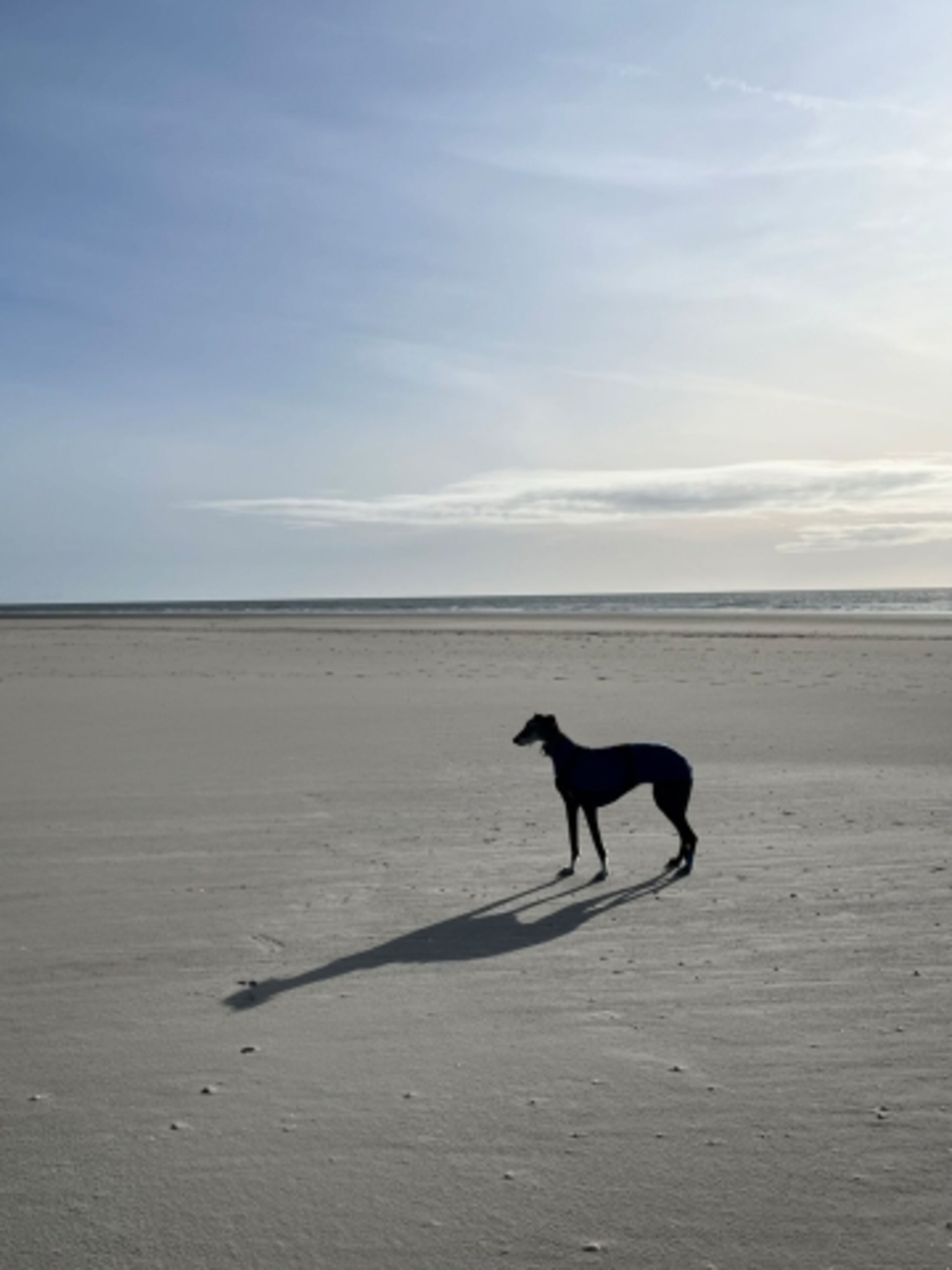 Amrum Kniepsand