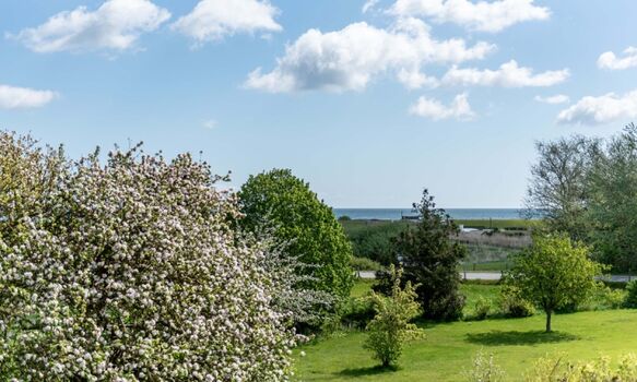 Blick vom Haus auf die Ostsee