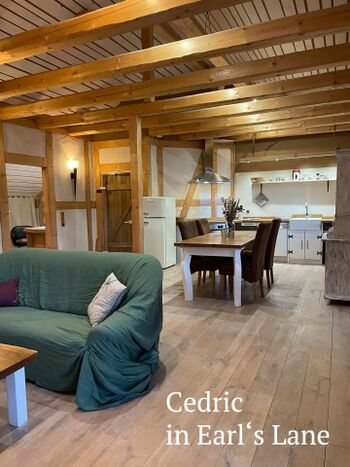 offener Wohnbereich in Geheimtipp Ferienwohnung im Harz - Earl's Lane