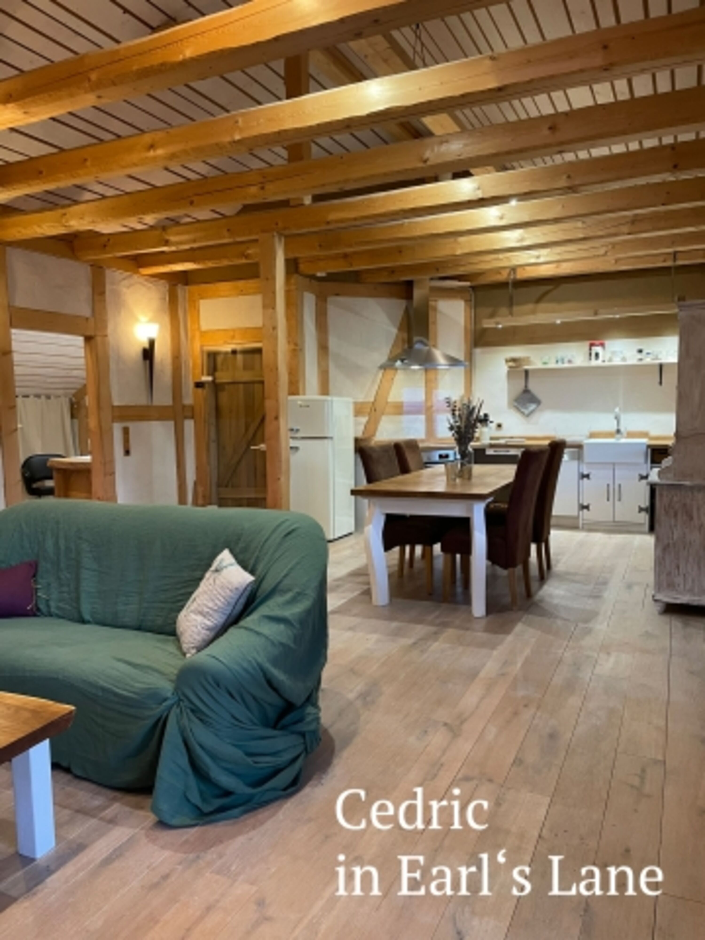 offener Wohnbereich in Geheimtipp Ferienwohnung im Harz - Earl's Lane