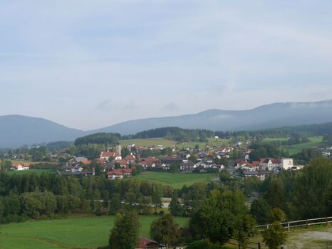 Blick auf Drachselsried im Sommer