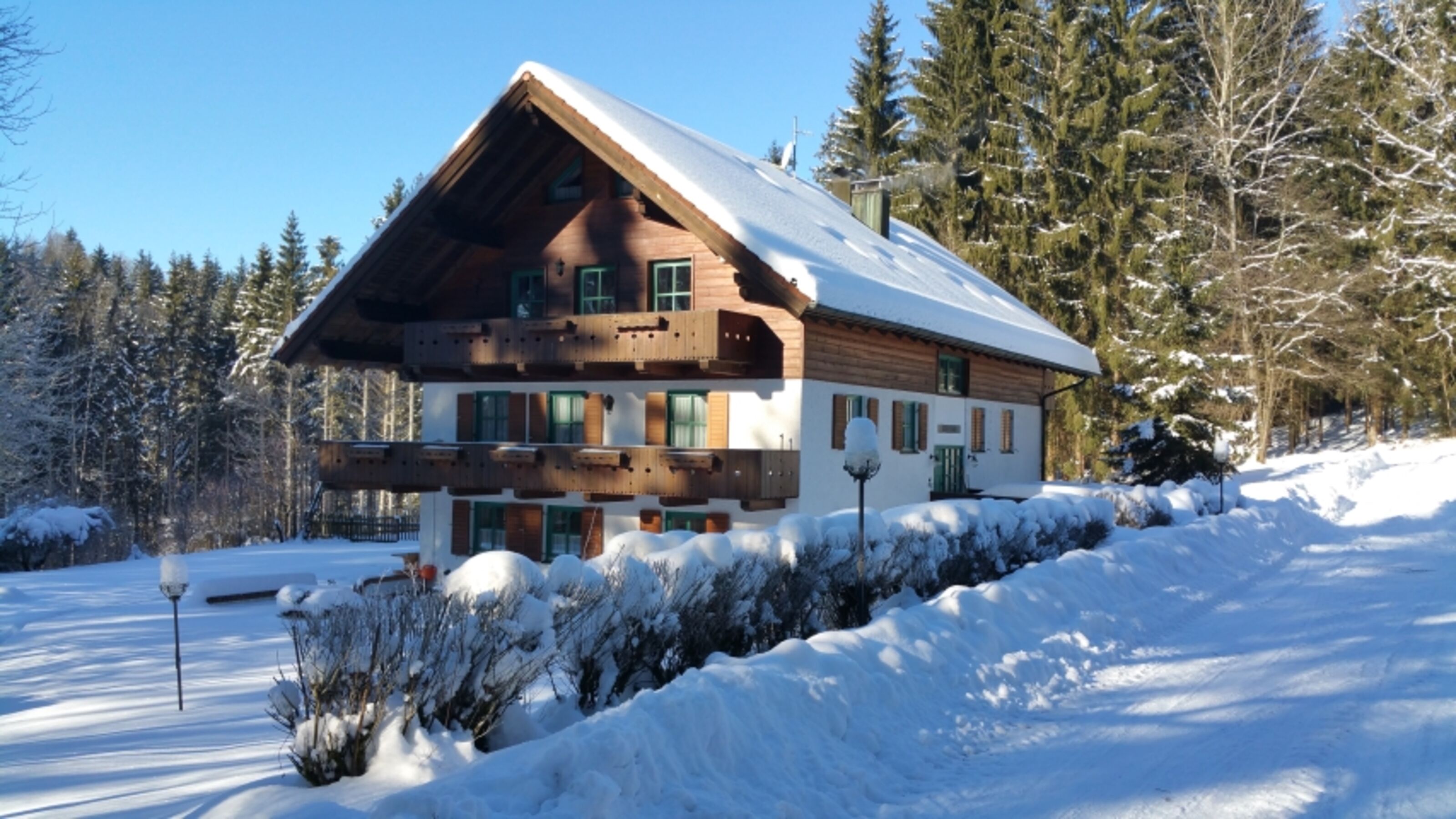 Bild 19