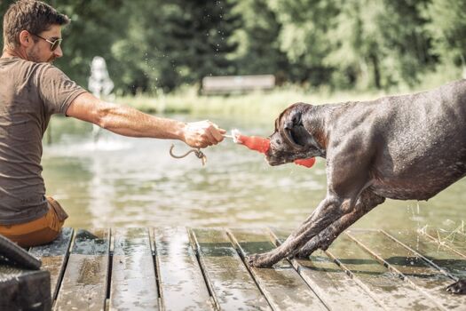 Hunde sind herzlich willkommen