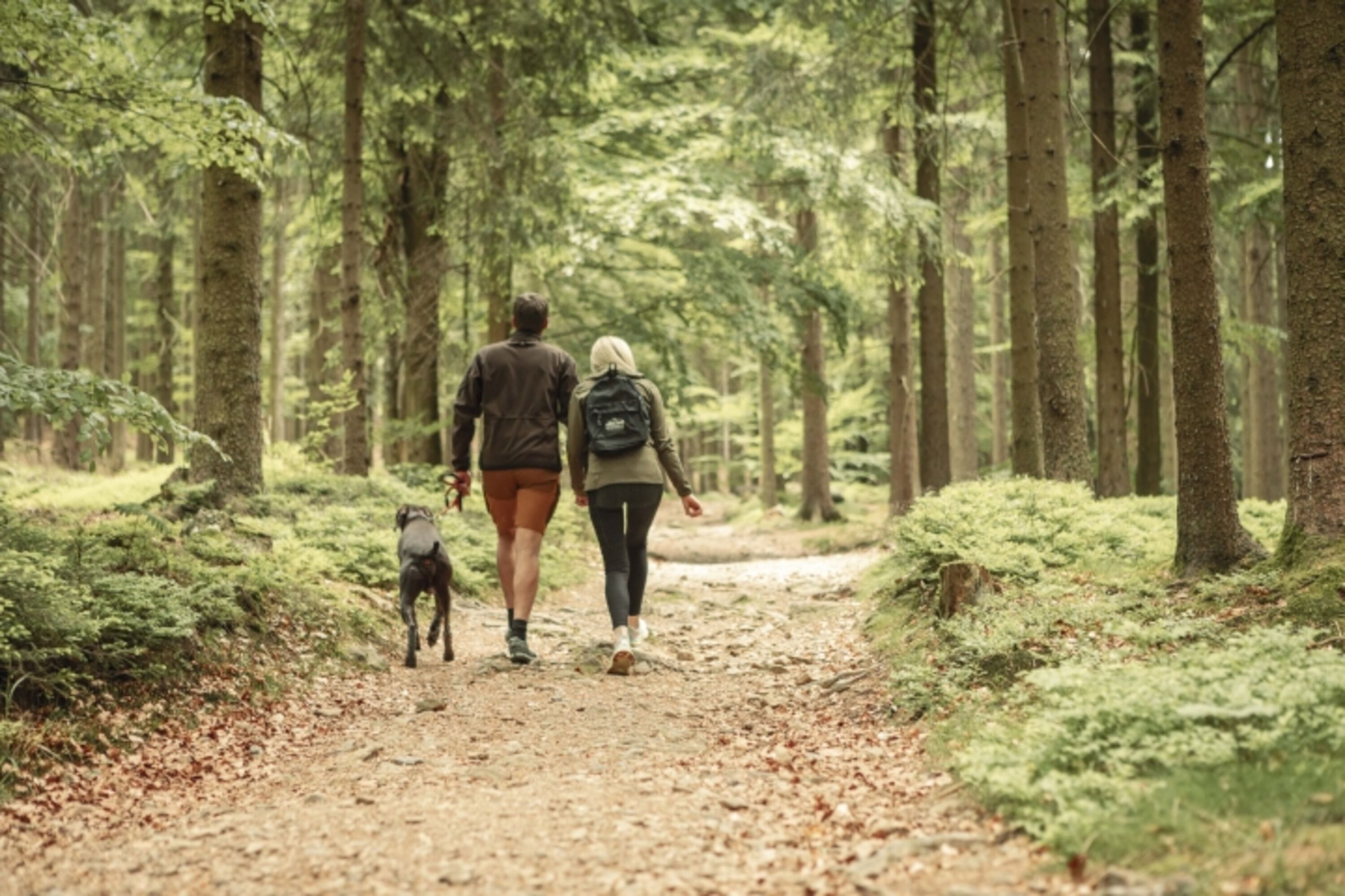 Direkt in der Natur