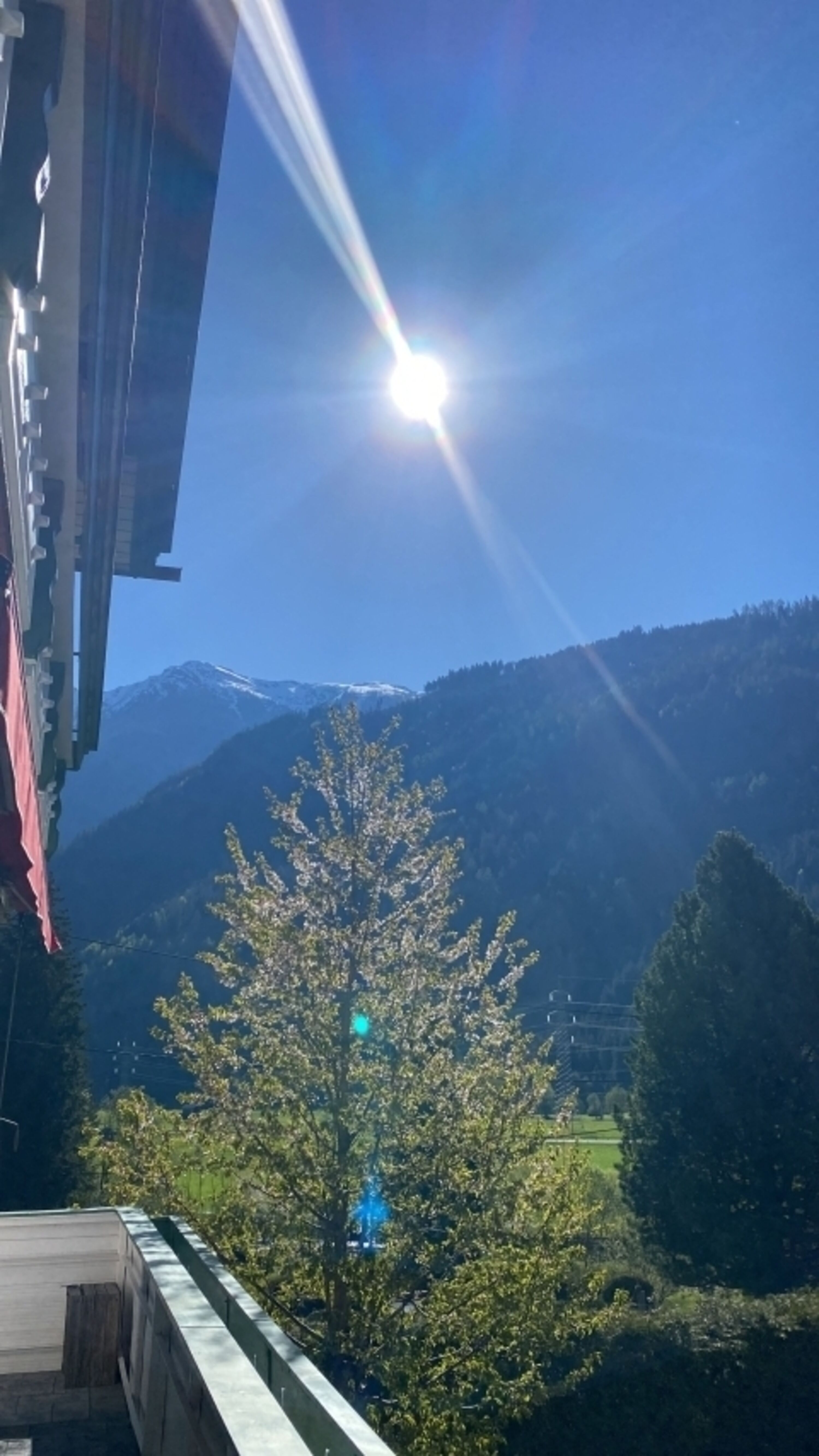 Bild 16