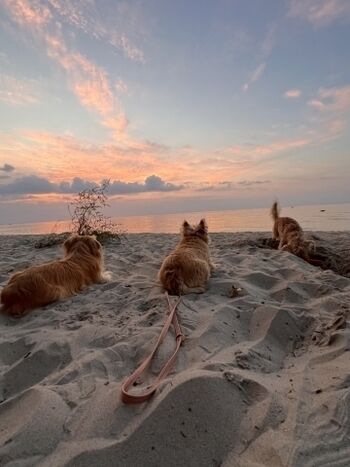 Der Herbst wird schön!