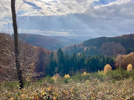 Wunderschön unsere Eifel!
