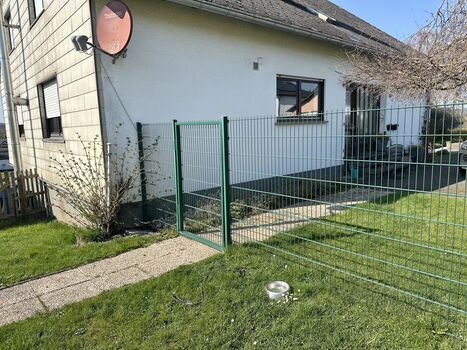 Blick aus dem eingezäunten Garten