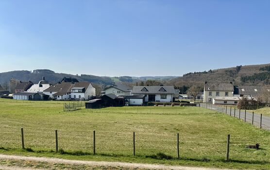 Blick vom Balkon auf die große Spielwiese - 3000 qm für den Hund