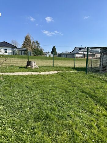 Eingezäunter Garten, ausbruchsicher