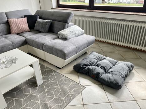 Hundebett im Wohnzimmer 