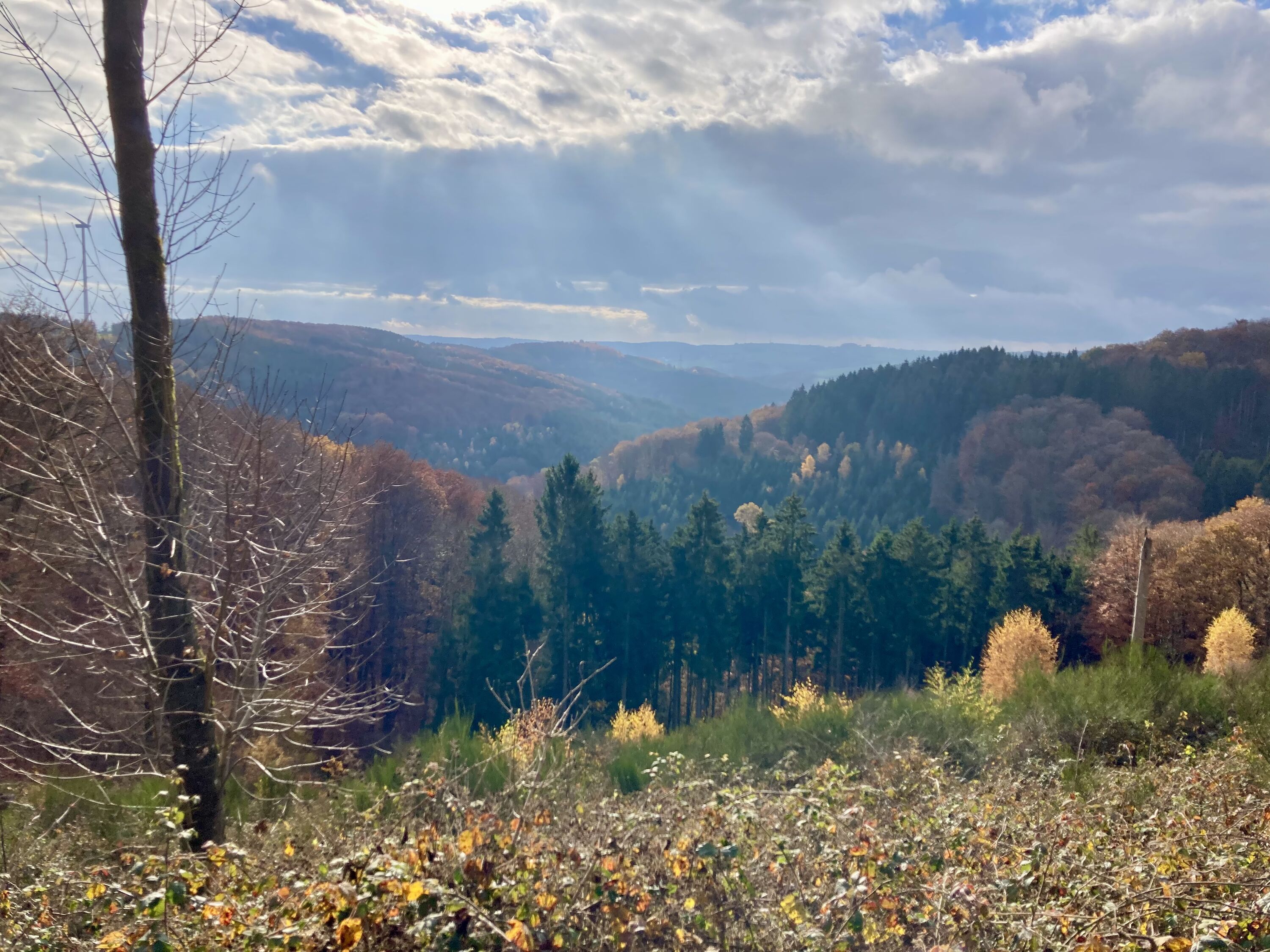 Wunderschön unsere Eifel!