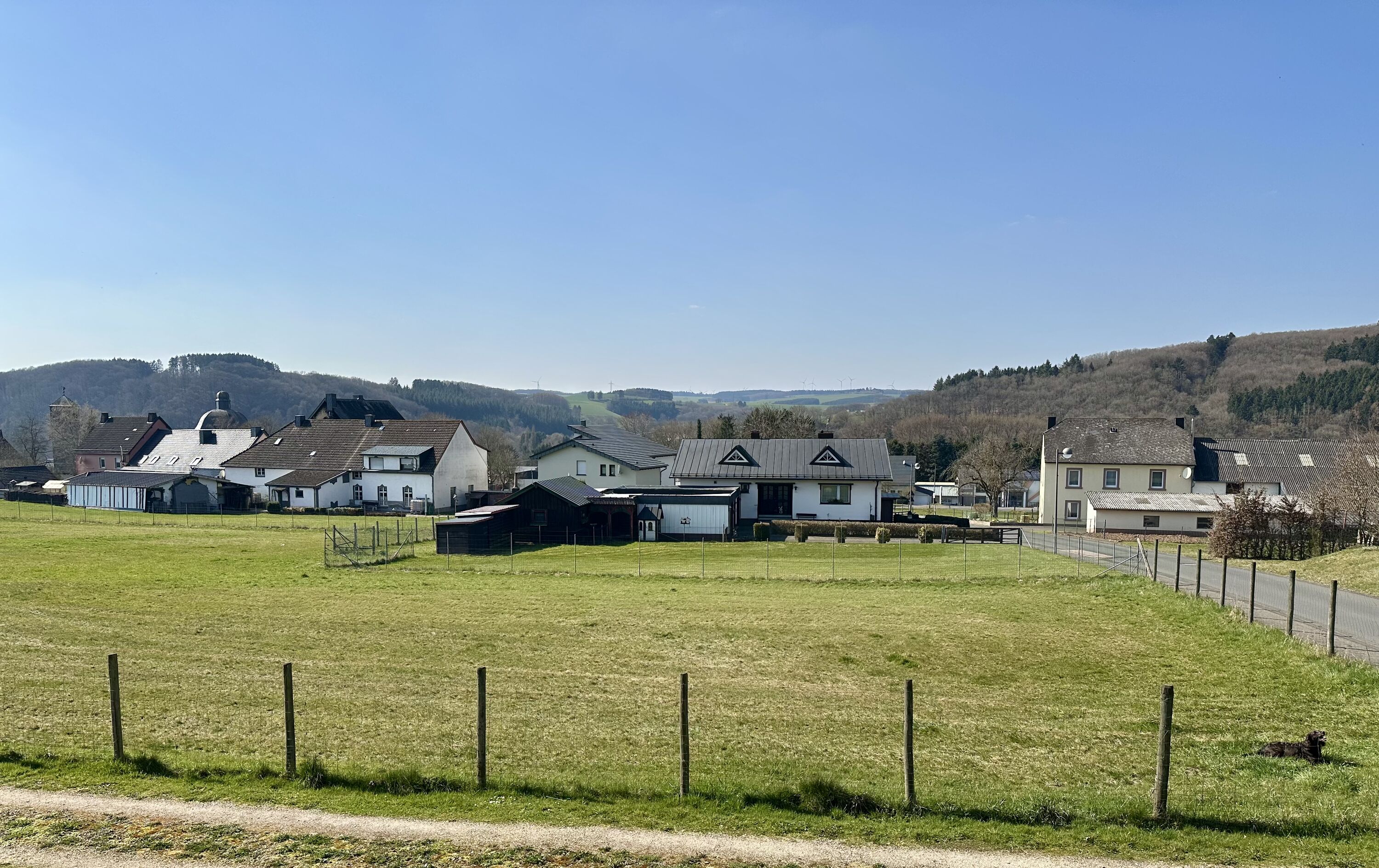 Blick vom Balkon auf die große Spielwiese - 3000 qm für den Hund