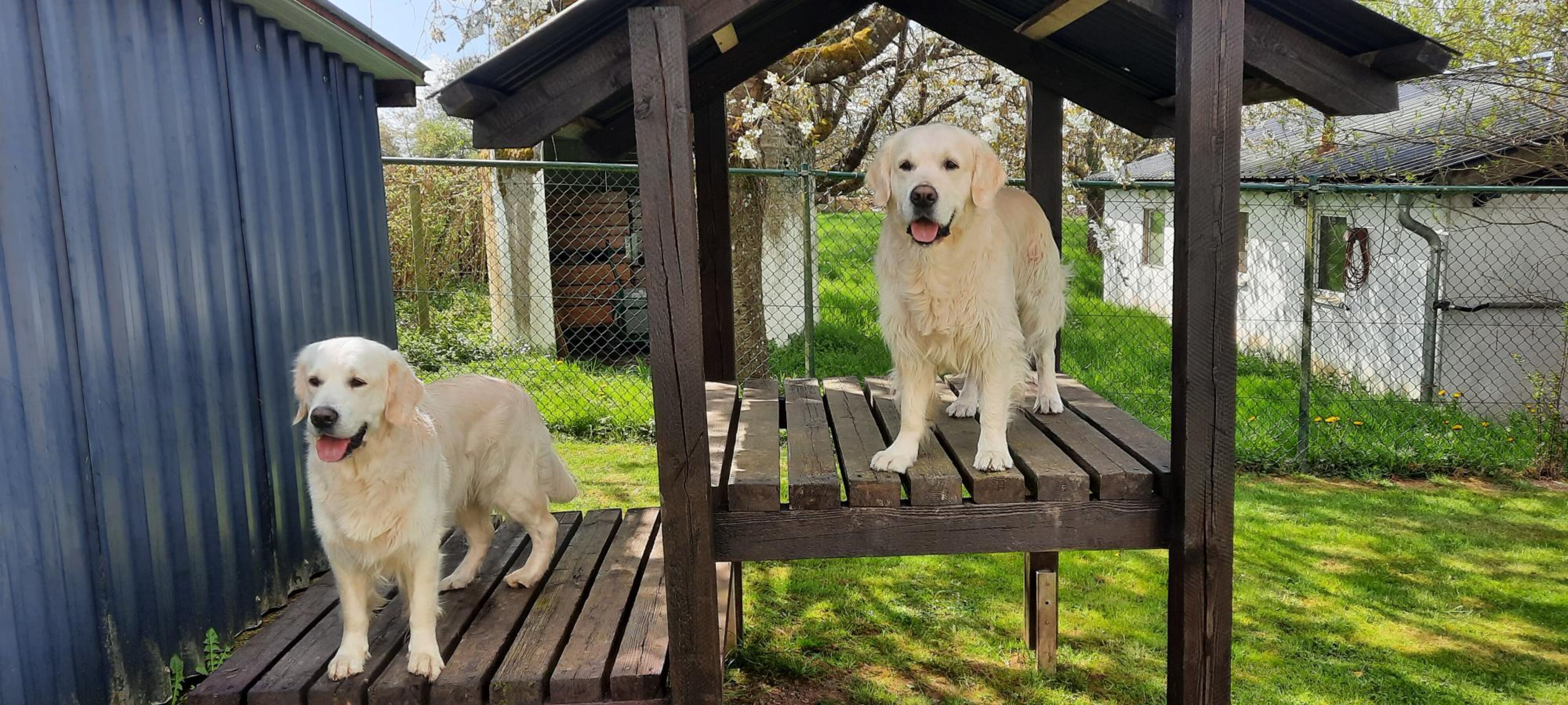 Zwei ganz liebe und tolle Gäste im Garten
