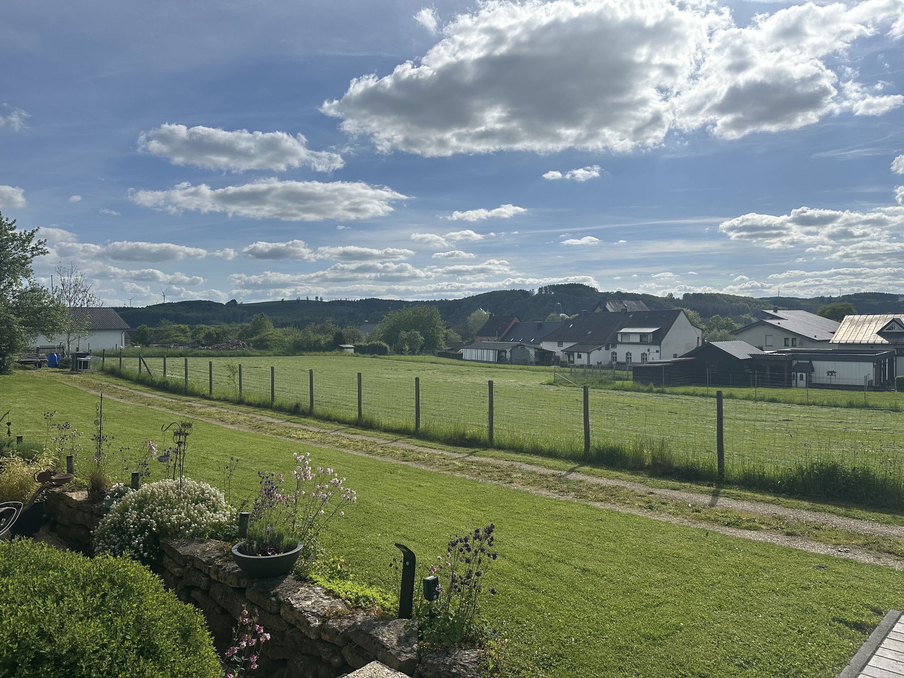 Blick auf die Spielwiese (3000 qm) vom Balkon