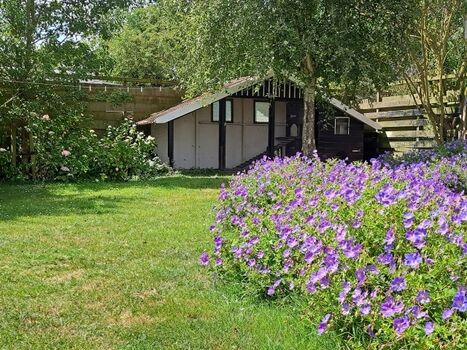 nächtliche Unterkunft der Hühner vom Garten aus.