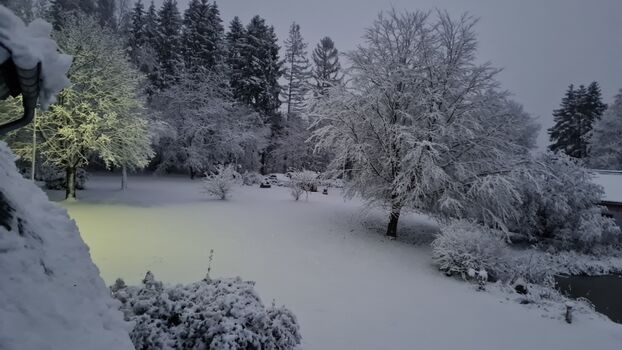 Unser Garten im Winter