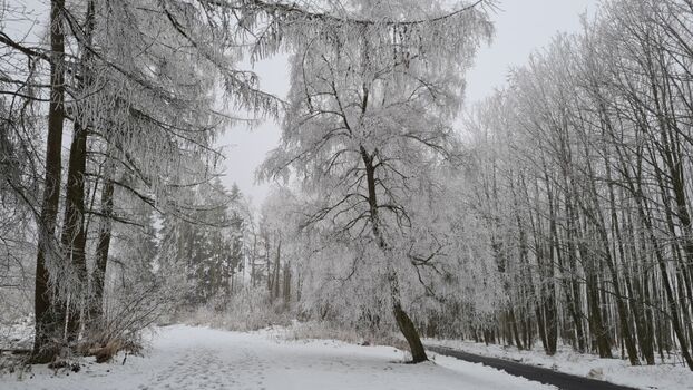 Die Zufahrt im Winter