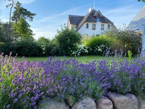 Blick von der Strasse auf das Reetdachhaus