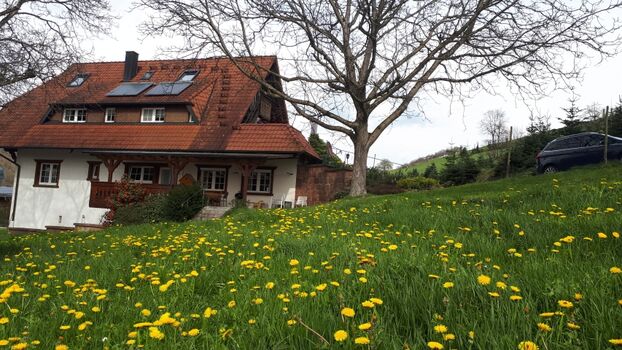 Überdachte Terasse FeWo Nussbaum