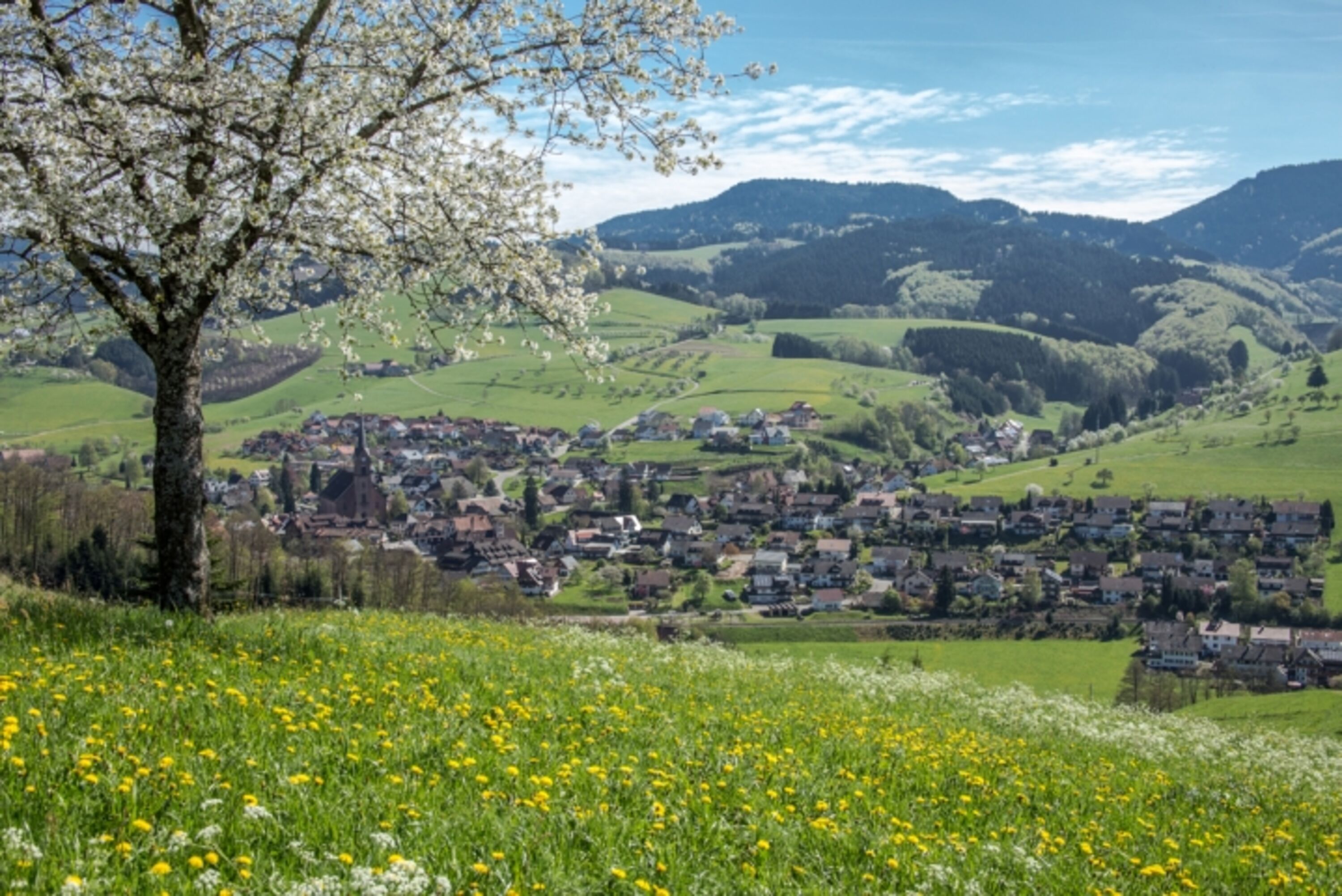 Oberharmersbach