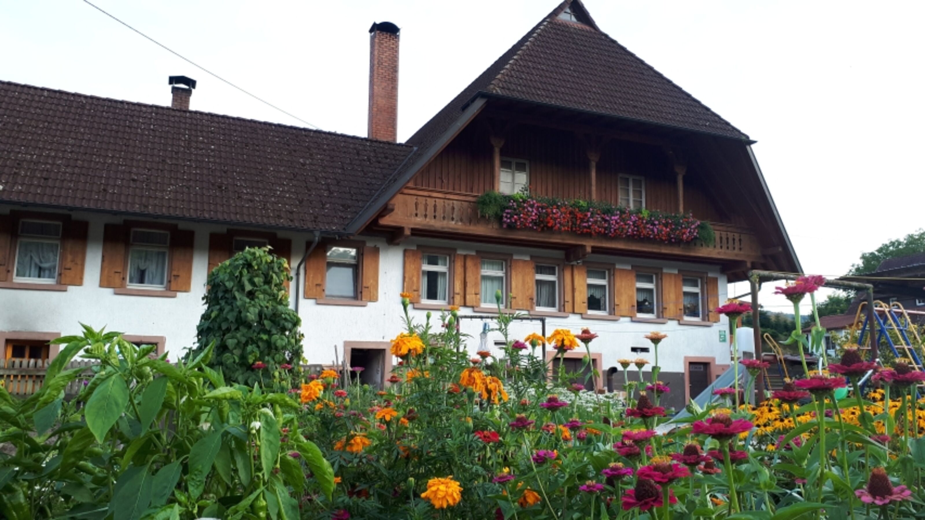 Bild 8