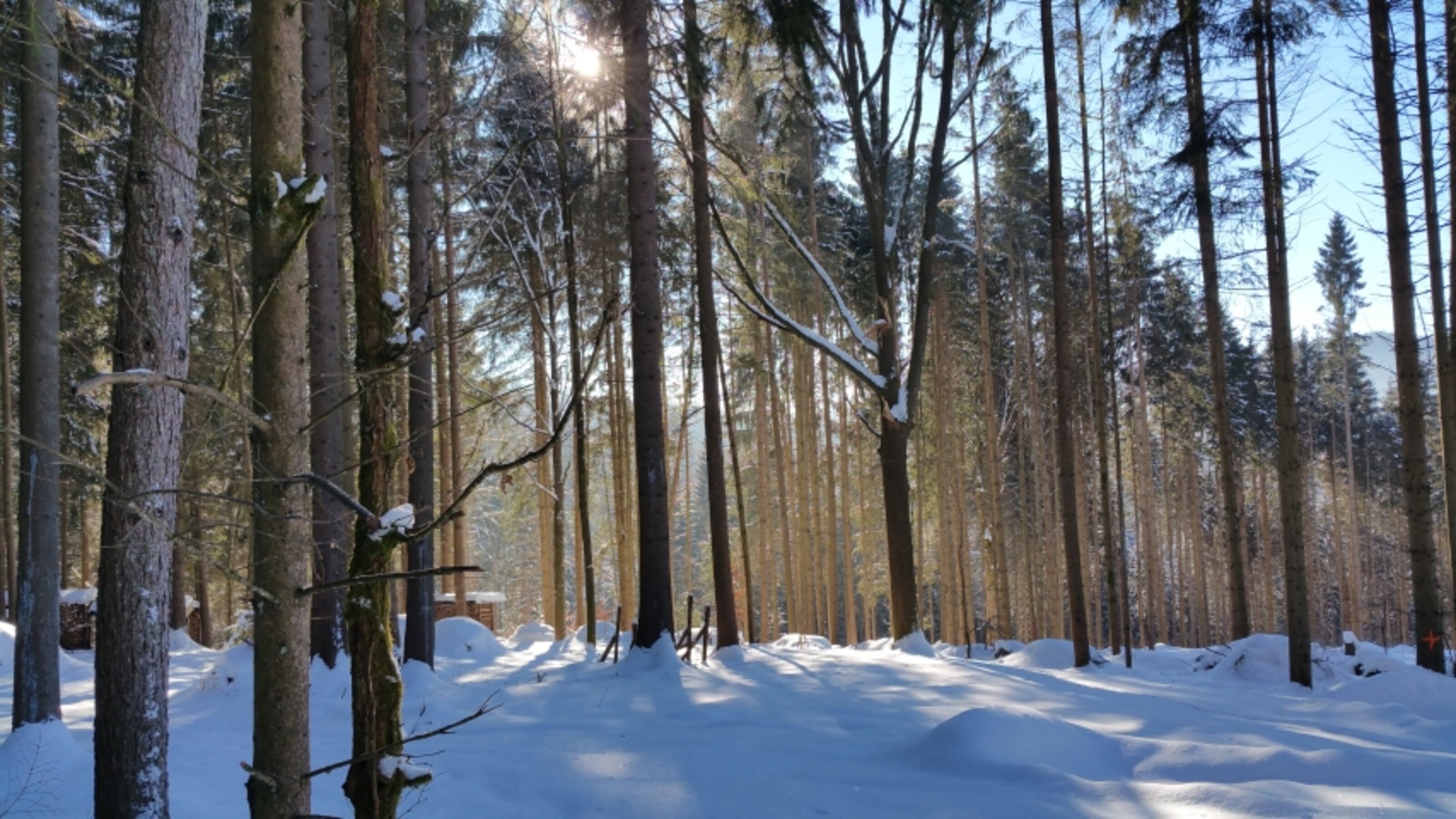 Bild 19